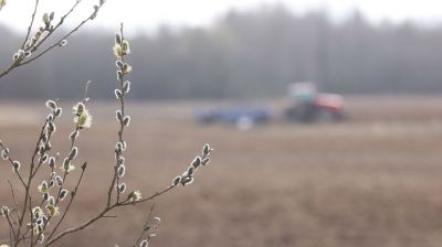 Сев зерновых и зернобобовых культур идет в Шумилинском районе