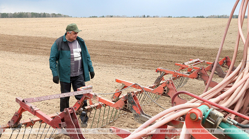 В Чериковском районе завершается сев ранних зерновых культур