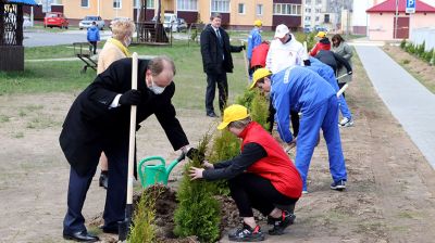 Кочанова приняла участие в закладке аллеи в Славгороде