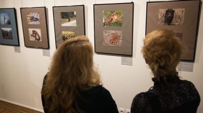 Выставочный проект "Покинутая земля" открылся в Национальном историческом музее