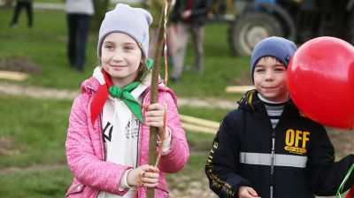 В Гродненском парке десятки семей высадили свои деревья