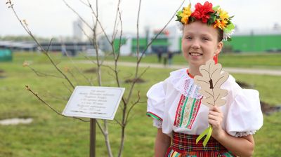 В Минске к 90-летию белорусской энергосистемы открыли памятный камень и заложили аллею