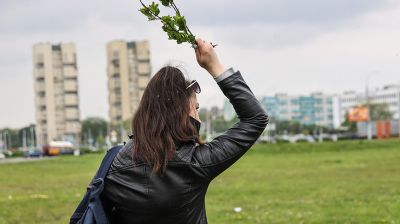 В Бресте наблюдается массовый вылет мошек