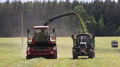 Заготовка кормов идет в Могилевском районе