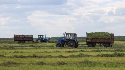 В Кобринском районе заготавливают корма