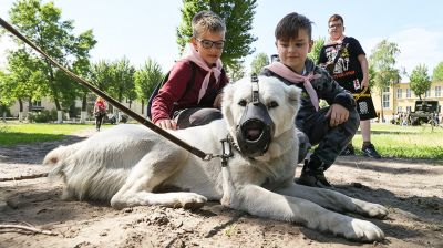 Летний спортивно-патриотический лагерь работает в Бресте