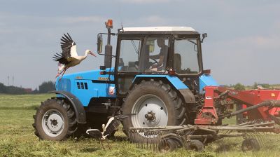 Заготовка кормов идет в Витебском районе