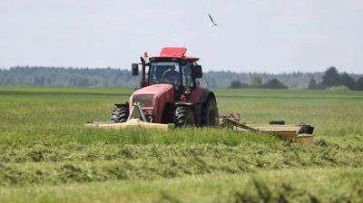 Заготовка кормов идет в Бешенковичском районе