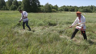 "Сенофест" прошел в Кировском районе