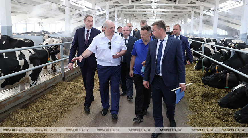 Лукашенко посетил молочно-товарную ферму в Свислочском районе