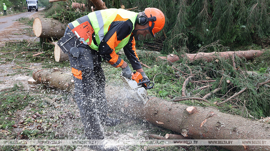 В Шумилинском лесхозе ликвидируют последствия урагана