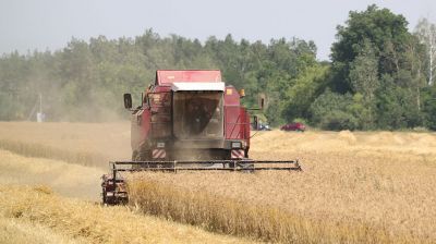 Уборка зерновых идет в Гомельской области