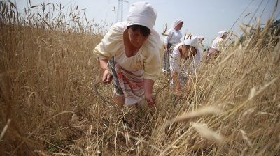 Праздник первого снопа прошел в Лидском районе