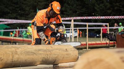 Областные соревнования вальщиков леса прошли в Крупском районе