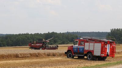 Минсельхозпрод начал мониторинг сохранности урожая