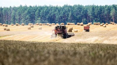 Брестская область собрала 1 млн т зерна