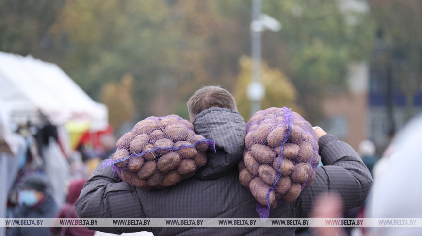 Осенние ярмарки проходят в Минске