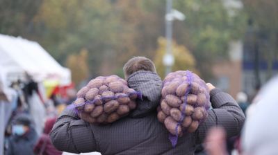 Осенние ярмарки проходят в Минске