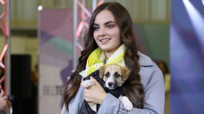 Финалистки конкурса "Мисс Беларусь" вышли на подиум вместе с бездомными животными