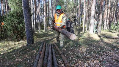 Около 40 тыс. человек поучаствуют в акции "Чистый лес"