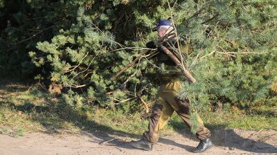 Акция "Чистый лес" прошла под Брестом