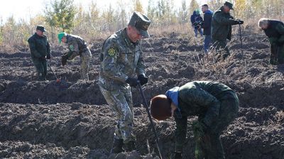 Сотрудники Гомельского облисполкома приняли участие в акции "Чистый лес"