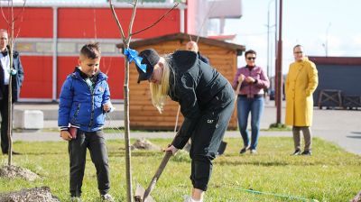 Аллею матери заложили в Бресте