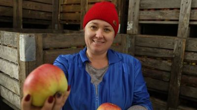 В Могилевской области формируют стабфонд плодоовощной продукции