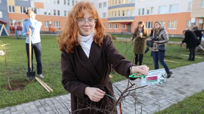 Около 150 саженцев появится в парках семейных деревьев Витебской области