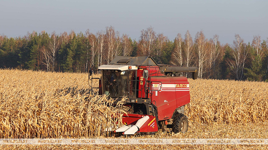 Исаченко ознакомился с уборкой кукурузы в Минской области