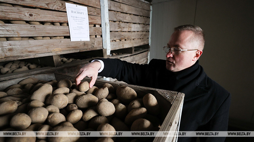 Закладка плодоовощной продукции в стабфонд идет в столичном УП "Партизанское"