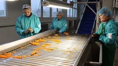 Филиал "Витебскэнерго" в Оршанском районе нарастил производство замороженной продукции