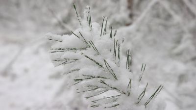 В Гродненскую область пришла зима