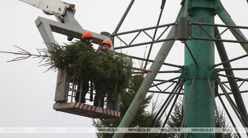 Монтаж новогодней елки идет в Витебске