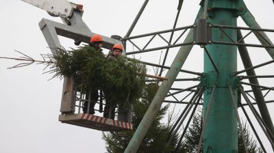 Монтаж новогодней елки идет в Витебске