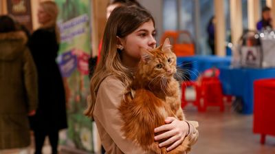В Минске проходит международная выставка кошек и котят