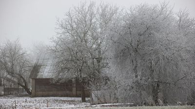 Иней в Гродненском районе