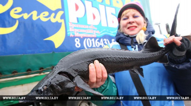 Специализированная ярмарка "Рыба Беларуси" проходит в Минске