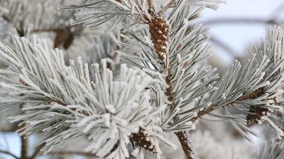 Зима в Смолевичском районе