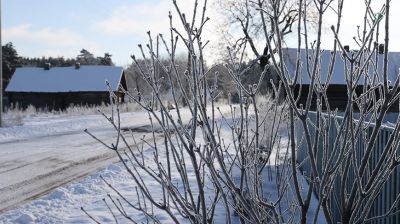 Зима в Светлогорском районе