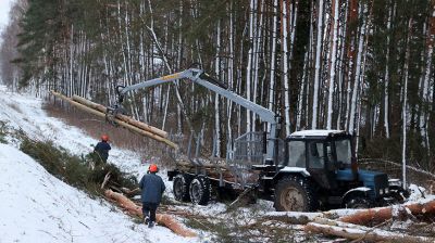 В Могилевском районе устраняют последствия стихии