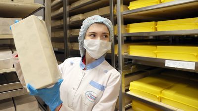 Более 90 % сыров производства Светлогорского филиала Калинковичского молочного комбината поставляется на экспорт