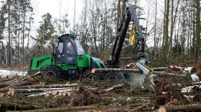 Назаров ознакомился с разработкой ветровально-буреломных насаждений в Белыничском лесхозе