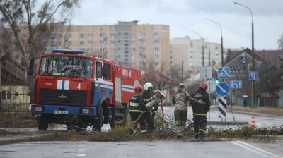 В Гродненской области устраняют последствия сильного ветра