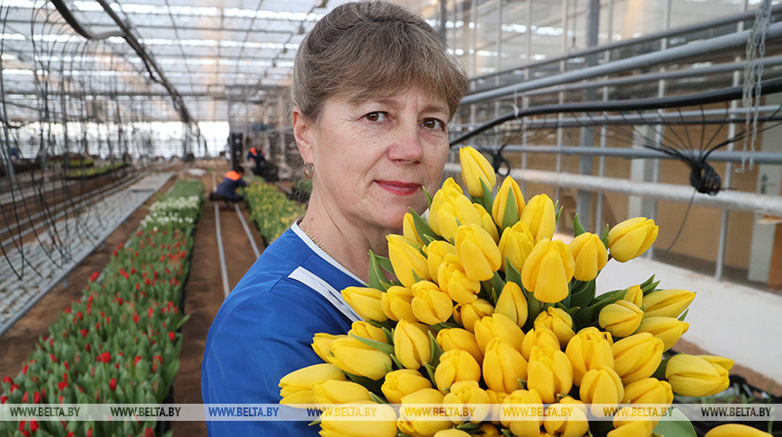 Около 20 тыс. цветов подготовил "Могилевзеленстрой" к 8 Марта