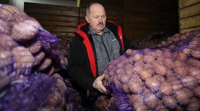 Фермерское хозяйство "Сула" специализируется на выращивании картофеля