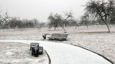 Зима не уходит из Гомельской области