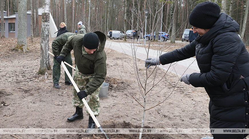 Более 450 тыс. жителей Гомельского региона вышли на областной субботник