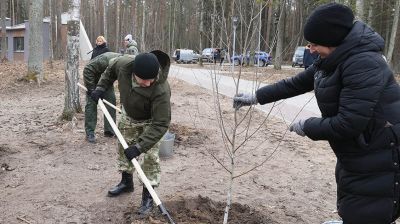 Более 450 тыс. жителей Гомельского региона вышли на областной субботник