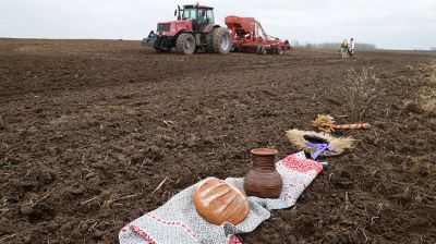 Обряд "Засевки" прошел в Бобруйском районе